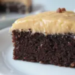 Chocolate Mayonnaise Cake With Peanut Butter Frosting