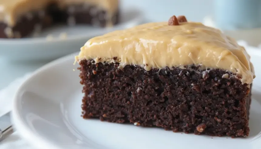 Chocolate Mayonnaise Cake With Peanut Butter Frosting