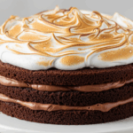 Chocolate Cake With Toasted Meringue
