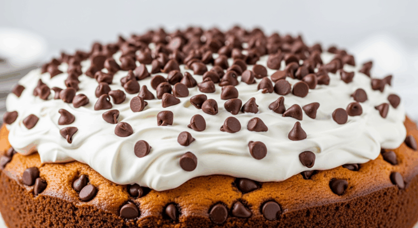 Chocolate Chip Cake With Whipped Cream