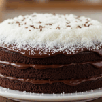 Chocolate Cake With Grated Coconut Topping