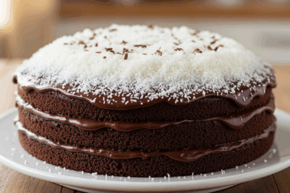 Chocolate Cake With Grated Coconut Topping