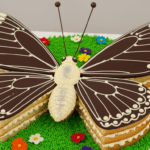 Butterfly-Shaped Cake With Chocolate Wings