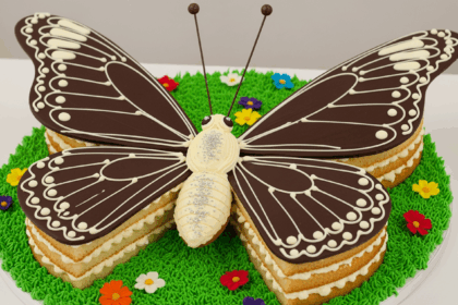Butterfly-Shaped Cake With Chocolate Wings