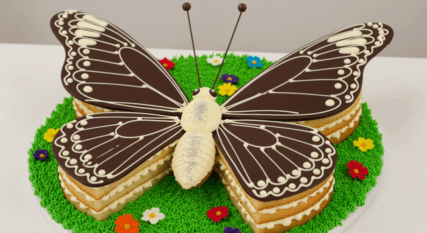 Butterfly-Shaped Cake With Chocolate Wings