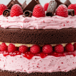 Vegan Chocolate Cake With Raspberries