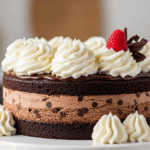Chocolate Ice Cream Cake With Whipped Cream