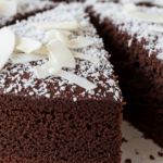 Chocolate Cake With Coconut Shavings