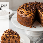 Chocolate Chip Cake Recipe With Cake Mix