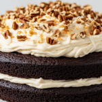 Chocolate Cake With Coconut Pecan Frosting