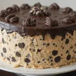 Oreo Cookie Cake With Chocolate Frosting