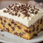 Chocolate Chip Cake With Whipped Cream