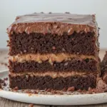 Eggless Chocolate Cake With Chocolate Frosting