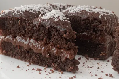 Chocolate Cake With Grated Coconut Topping