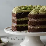 Vegan Chocolate Cake With Matcha Buttercream