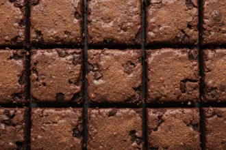 Brownies With Cocoa Powder