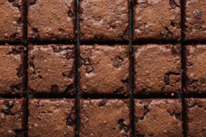 Brownies With Cocoa Powder