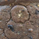 Brownies With Applesauce Instead Of Oil