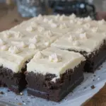 Fudgy Brownies With Frosting
