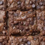 Vegan Brownies With Chocolate Chips