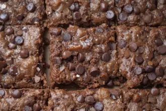 Vegan Brownies With Chocolate Chips