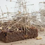 Recipe For Fudgy Brownies With Nuts