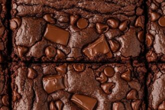 Chocolate Chip Brownies With Chocolate Chips