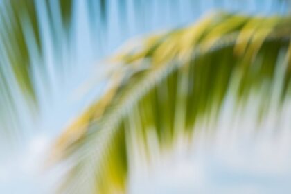 Banana Bread With Coconut Milk