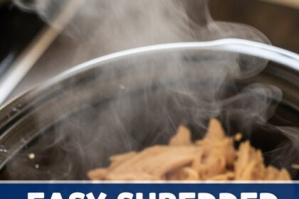 Easy Shredded Chicken Crockpot Recipes