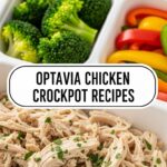 Optavia Chicken Crockpot Recipes