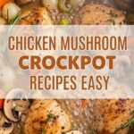 Chicken Mushroom Crockpot Recipes Easy