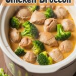 Crockpot Recipes Chicken Broccoli