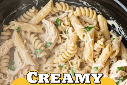 Creamy Chicken Pasta Crockpot Recipes