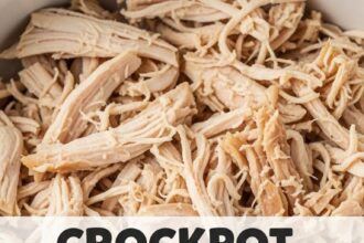 Crockpot Chicken Recipes Shredded