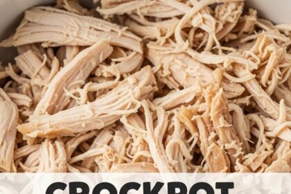 Crockpot Chicken Recipes Shredded