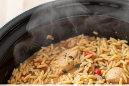 Crockpot Chicken Orzo Recipes