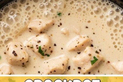 Crockpot Chicken Recipes Alfredo