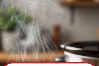 Crockpot Recipes White Chicken Chili