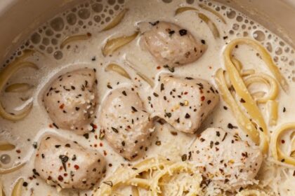 Chicken Alfredo Crockpot Recipes