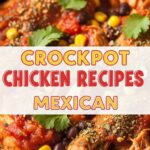 Crockpot Chicken Recipes Mexican