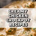 Creamy Chicken Crockpot Recipes