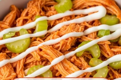 Chicken Crockpot Recipes Buffalo