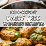 Crockpot Dairy Free Chicken Recipes