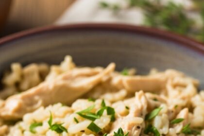 Healthy Crockpot Chicken And Rice Recipes