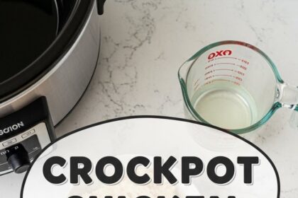 Crockpot Chicken Recipes Quick