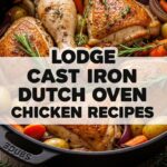 Lodge Cast Iron Dutch Oven Chicken Recipes
