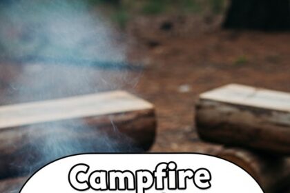Campfire Dutch Oven Chicken Recipes