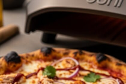 Ooni Pizza Oven Recipes Chicken