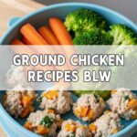Ground Chicken Recipes Blw