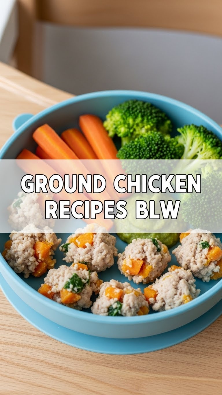 Ground Chicken Recipes Blw